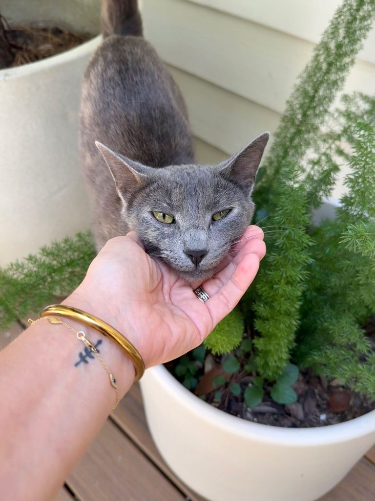 Sherry Putting Jenny Cat Outside Under Her Chin