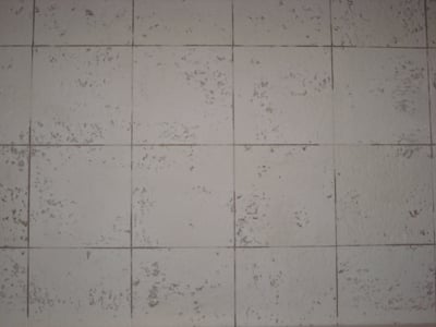 Beforeceiling 1