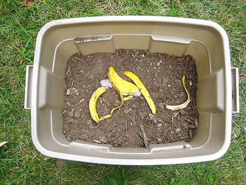 compoststep5 banana peel in diy compost bin