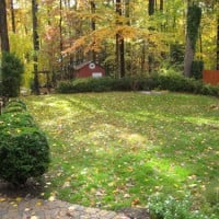 How To Get Free Landscaping Help From Craigslist