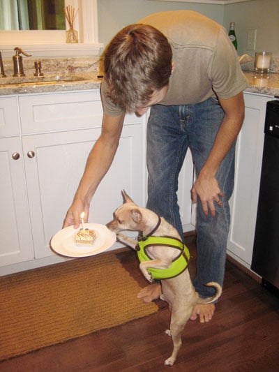 Burgersbirthdaycake