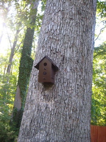 birdhouseafterpicturesmakeover Birdhouseafterpicturesmakeo