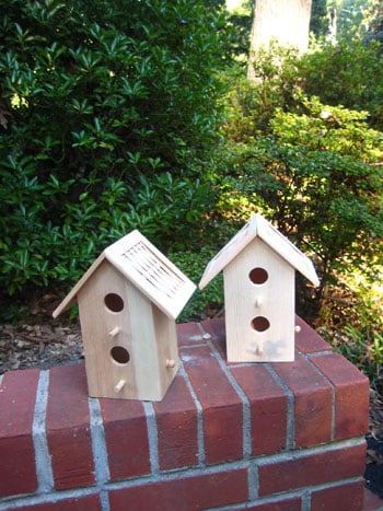 birdhousebeforepictures Birdhousebeforepictures