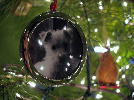 christmas-family-tradition-1 christmas-family-tradition-1
