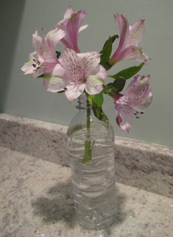 plastic-bottle-vase plastic-bottle-vase