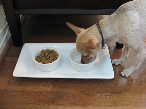 burger-platter-dog-dish-bowl-ceramic burger-platter-dog-dish-bowl-ceramic