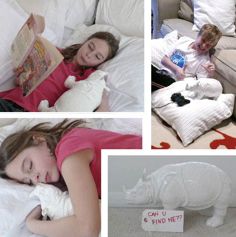 rhino-surprise-olivia-jakob-zgallerie rhino-surprise-olivia-jakob-zgallerie