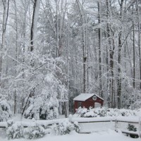 Snow Day