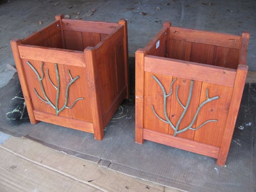 planters-before planters-before