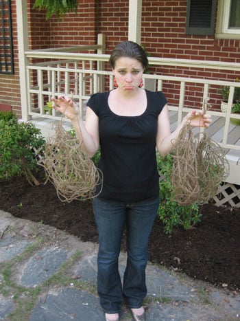 failed-project-boo failed-project-boo