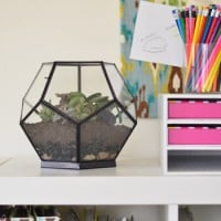 How To Make A Terrarium