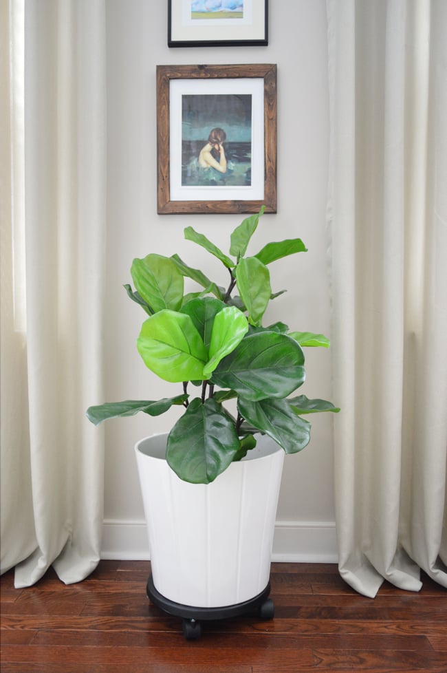 Faux Fiddle Leaf Fig Bedroom Full