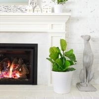 The Best Faux Fiddle Leaf Fig I’ve Ever Seen