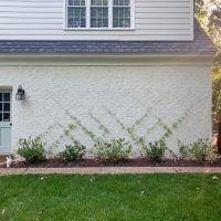 How To Make A DIY Trellis