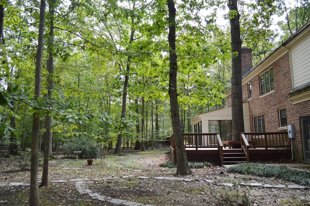 White House Before Wide Backyard