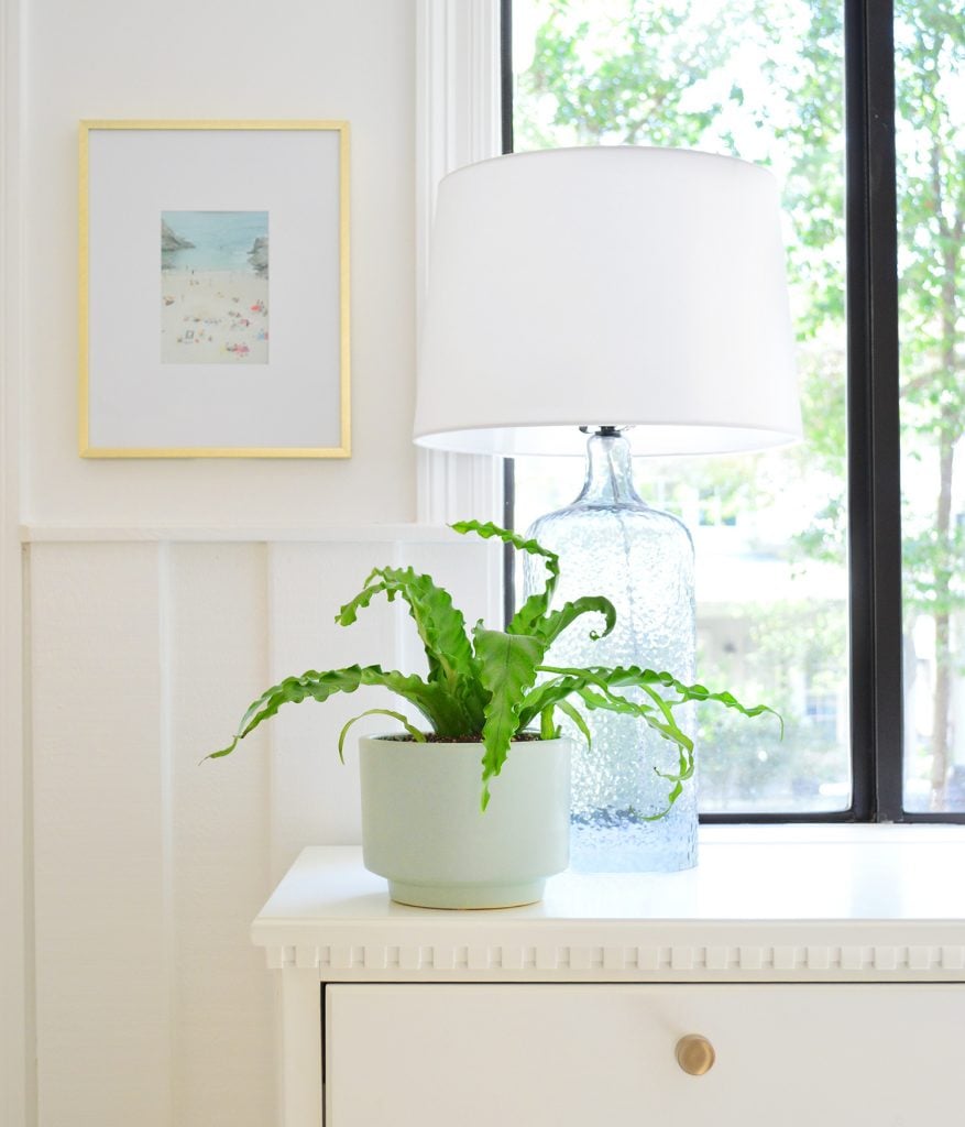 Ep176 The Sill Fern On Front Entry Table