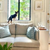 Introducing Penny Petersik!