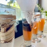 How To Get Rid Of Fruit Flies – Using Stuff You Already Own!