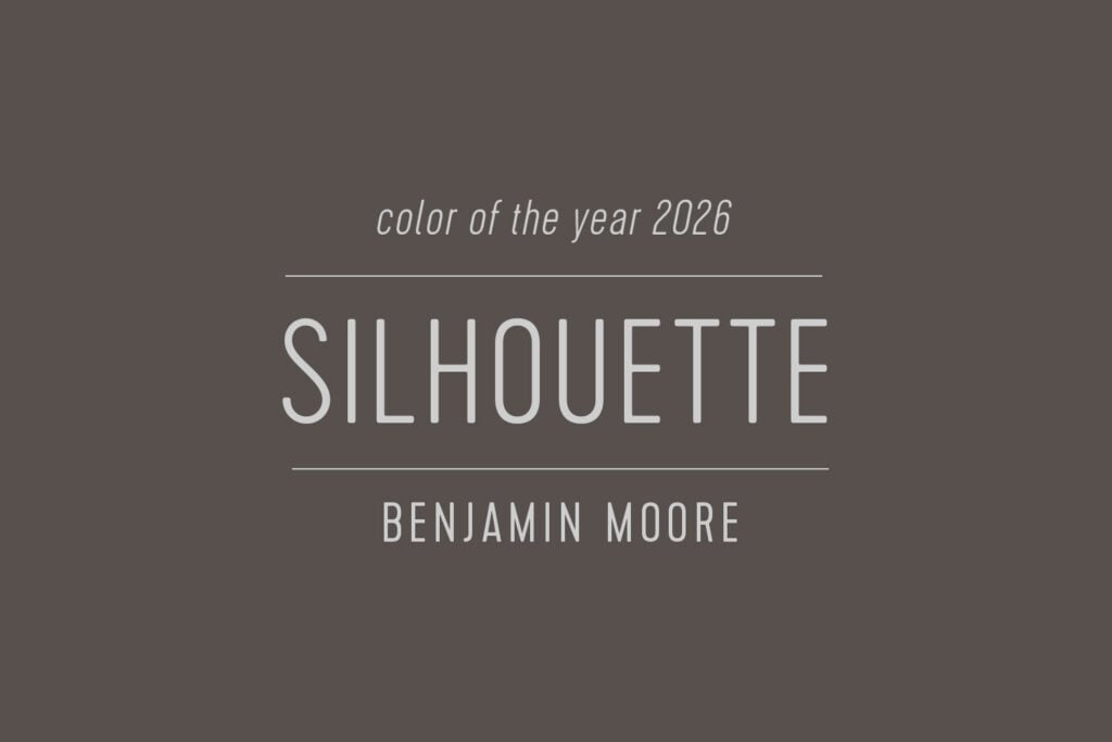 Benjamin Moore Silhouette Color of the Year 2026 Swatch