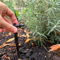 How To Install a Drip Irrigation System